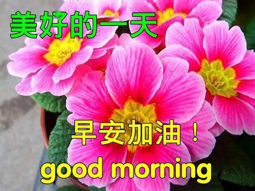 6月17日早上好動態(tài)表情圖片大全,早晨好動圖美圖大全